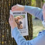 NIZZOTEC - Soluções Web